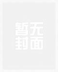 璀璨人生小说